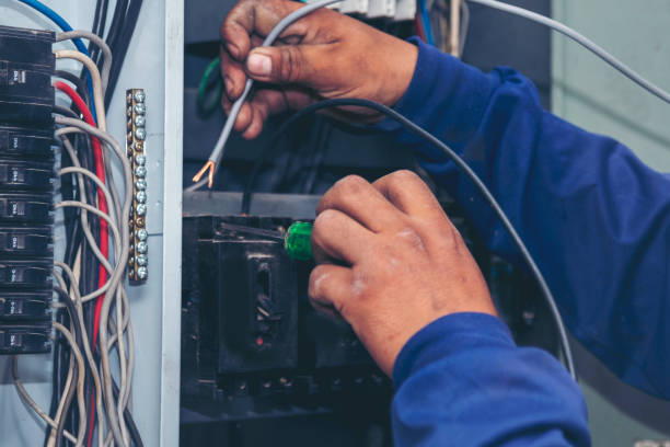 Best Residential Electrician Services  in Cross City, FL