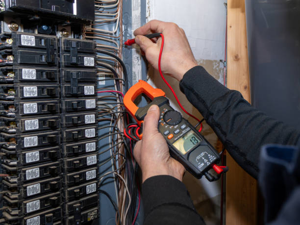 Best Affordable Electrician  in Cross City, FL